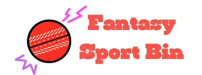 fantasysportbin.com